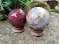 Polished Podocarpus Petrified Wood Spheres x 2 From Mahajanga, Madagascar