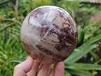 Polished Podocarpus Petrified Wood Spheres x 2 From Mahajanga, Madagascar - Toprock Gemstones and Minerals 