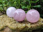 Polished Star Rose Quartz Spheres x 3 From Ambatondrazaka, Madagascar - Toprock Gemstones and Minerals 