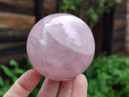 Polished Star Rose Quartz Spheres x 3 From Ambatondrazaka, Madagascar - Toprock Gemstones and Minerals 