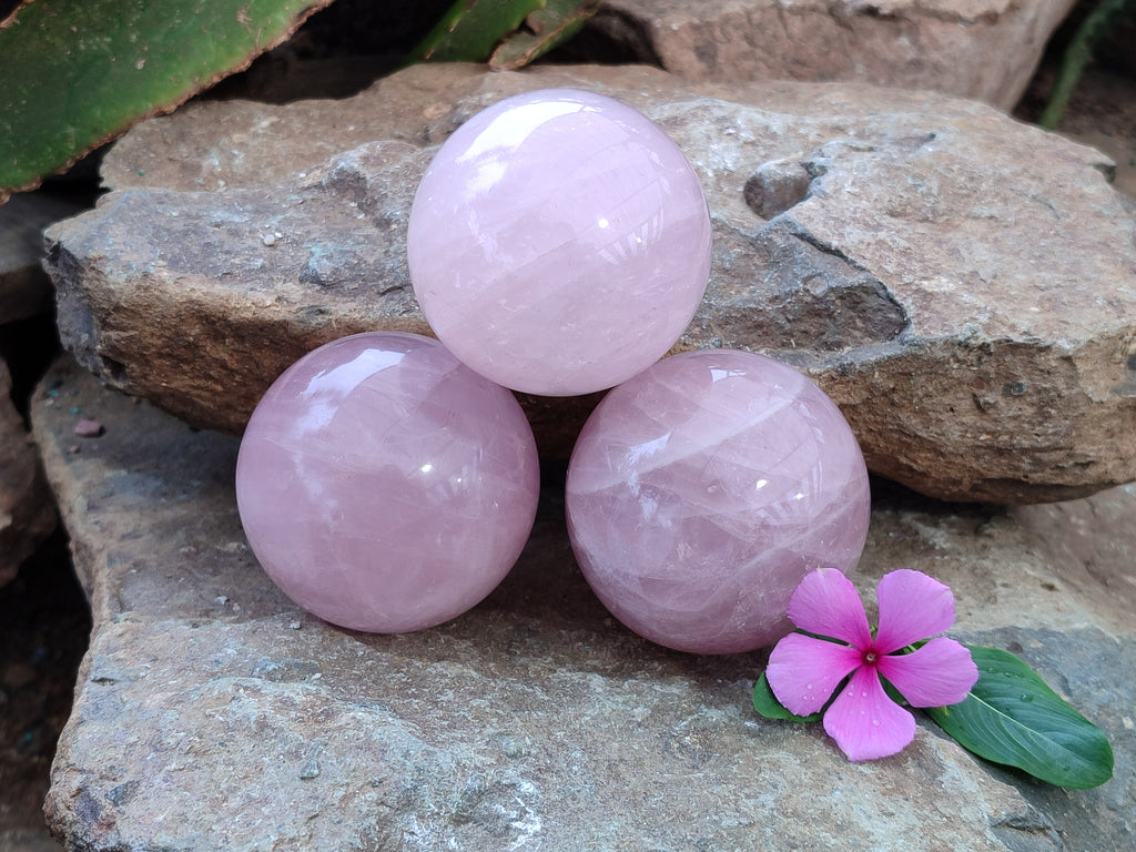Polished Star Rose Quartz Spheres x 3 From Ambatondrazaka, Madagascar - Toprock Gemstones and Minerals 