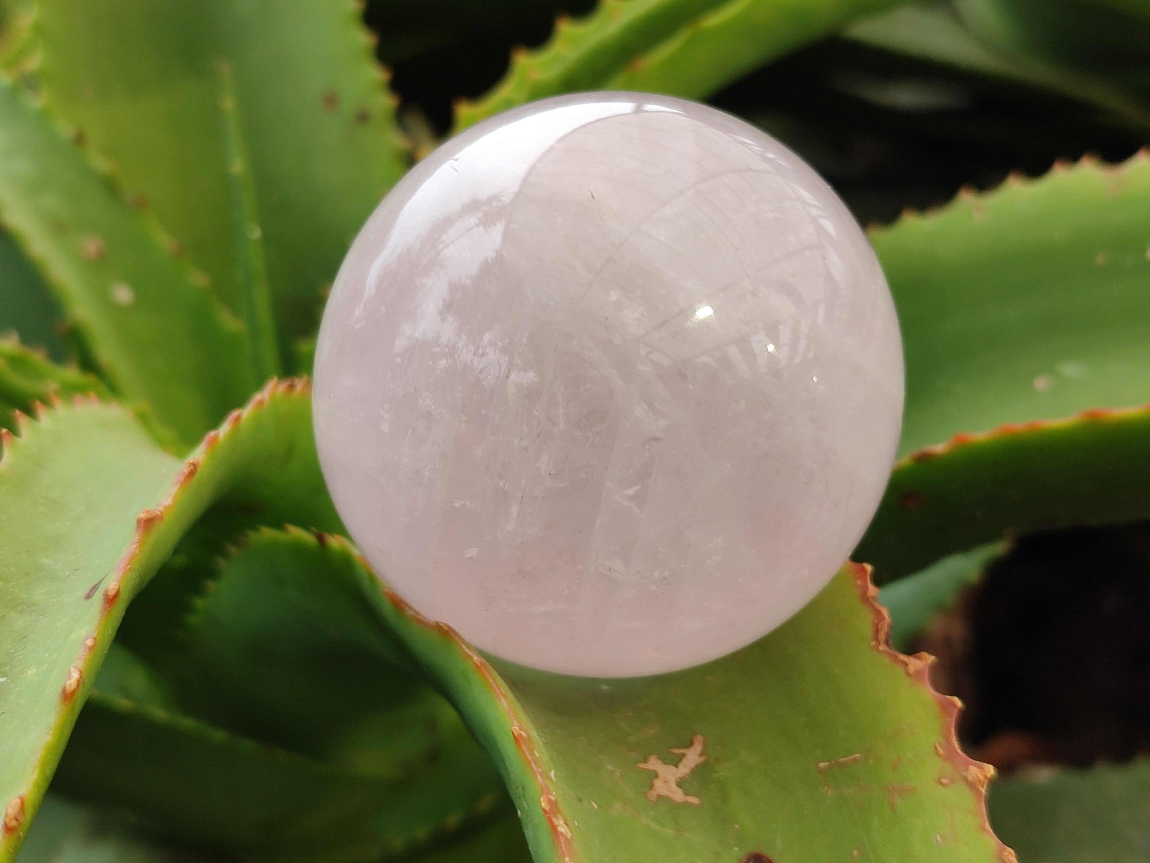 Polished Star Rose Quartz Spheres x 3 From Ambatondrazaka, Madagascar - Toprock Gemstones and Minerals 