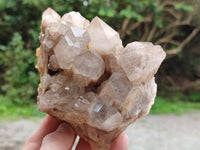 Natural Smokey Phantom Quartz Clusters x 2 From Luena, Congo - Toprock Gemstones and Minerals 