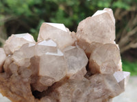 Natural Smokey Phantom Quartz Clusters x 2 From Luena, Congo - Toprock Gemstones and Minerals 