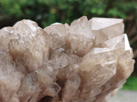 Natural Smokey Phantom Quartz Clusters x 2 From Luena, Congo - Toprock Gemstones and Minerals 