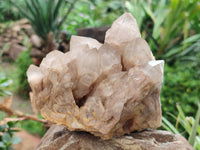 Natural Smokey Phantom Quartz Clusters x 2 From Luena, Congo - Toprock Gemstones and Minerals 