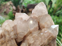 Natural Smokey Phantom Quartz Clusters x 2 From Luena, Congo - Toprock Gemstones and Minerals 