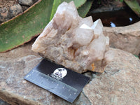 Natural Smokey Phantom Quartz Clusters x 2 From Luena, Congo - Toprock Gemstones and Minerals 