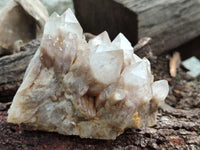 Natural Smokey Phantom Quartz Clusters x 2 From Luena, Congo - Toprock Gemstones and Minerals 