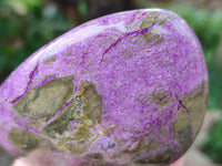 Polished Stichtite Standing Free Forms x 3 From Barberton, South Africa
