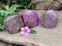 Polished Stichtite Standing Free Forms x 3 From Barberton, South Africa