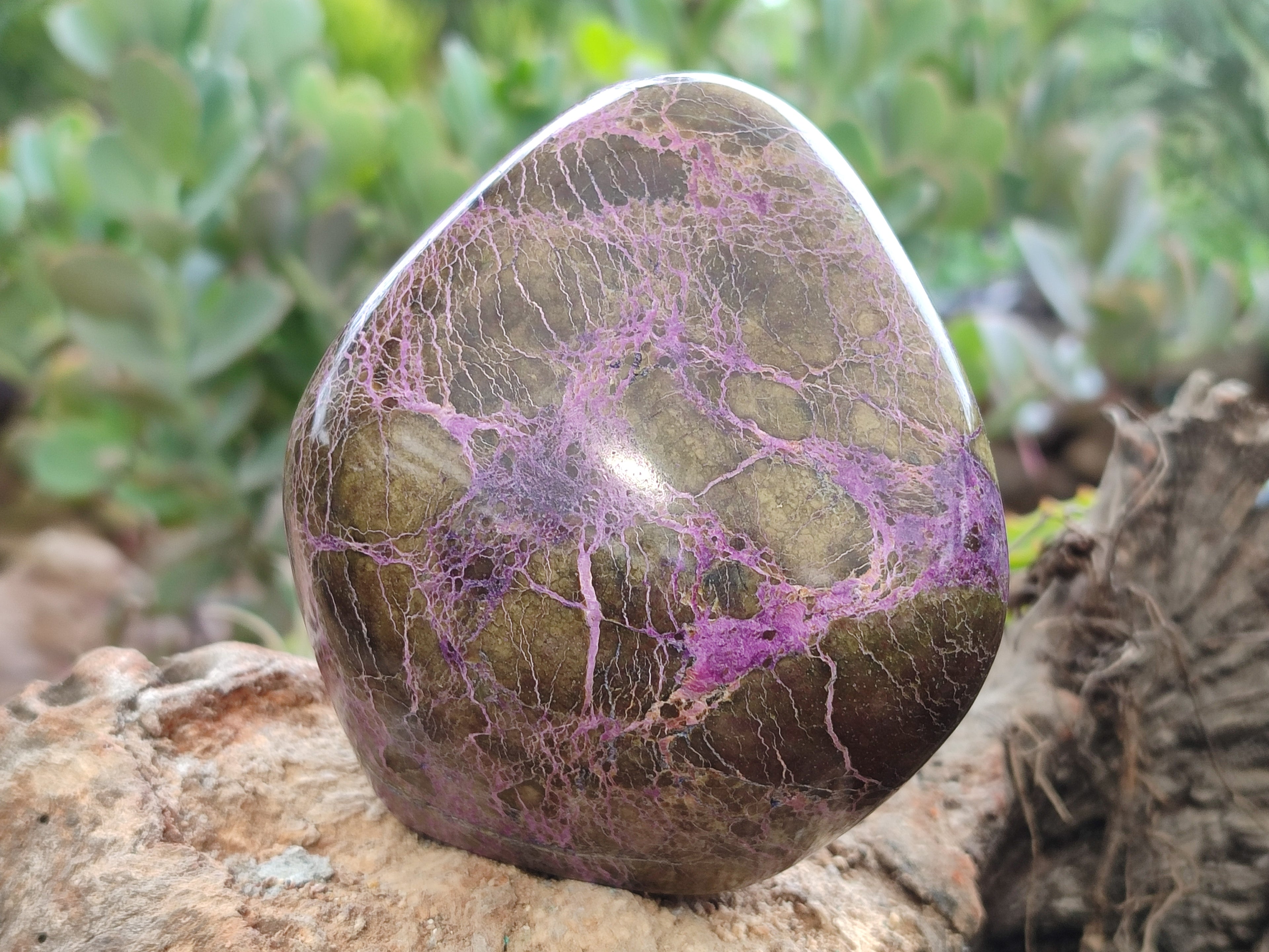 Polished Stichtite Standing Free Forms x 3 From Barberton, South Africa - Toprock Gemstones and Minerals 