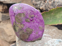 Polished Stichtite Standing Free Forms x 3 From Barberton, South Africa