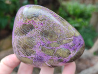 Polished Stichtite Standing Free Forms x 3 From Barberton, South Africa