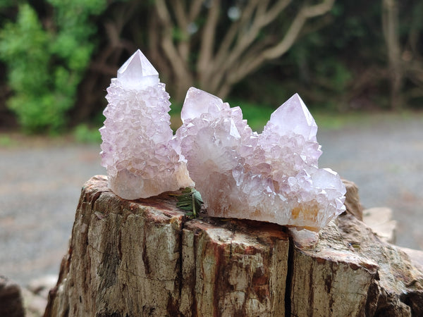 Natural Lilac Spirit Quartz Clusters x 24 From South Africa