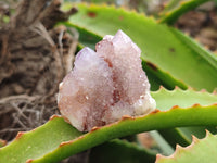 Natural Lilac Spirit Quartz Clusters x 24 From South Africa