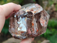 Polished Smokey Window Quartz Crystals x 3 From Madagascar