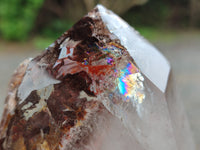 Polished Smokey Window Quartz Crystals x 3 From Madagascar