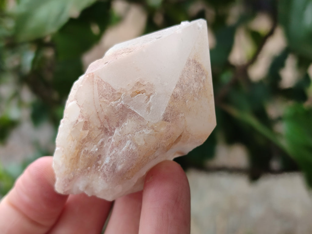 Natural White Pineapple Quartz Crystals x 13 From Madagascar - Toprock Gemstones and Minerals 