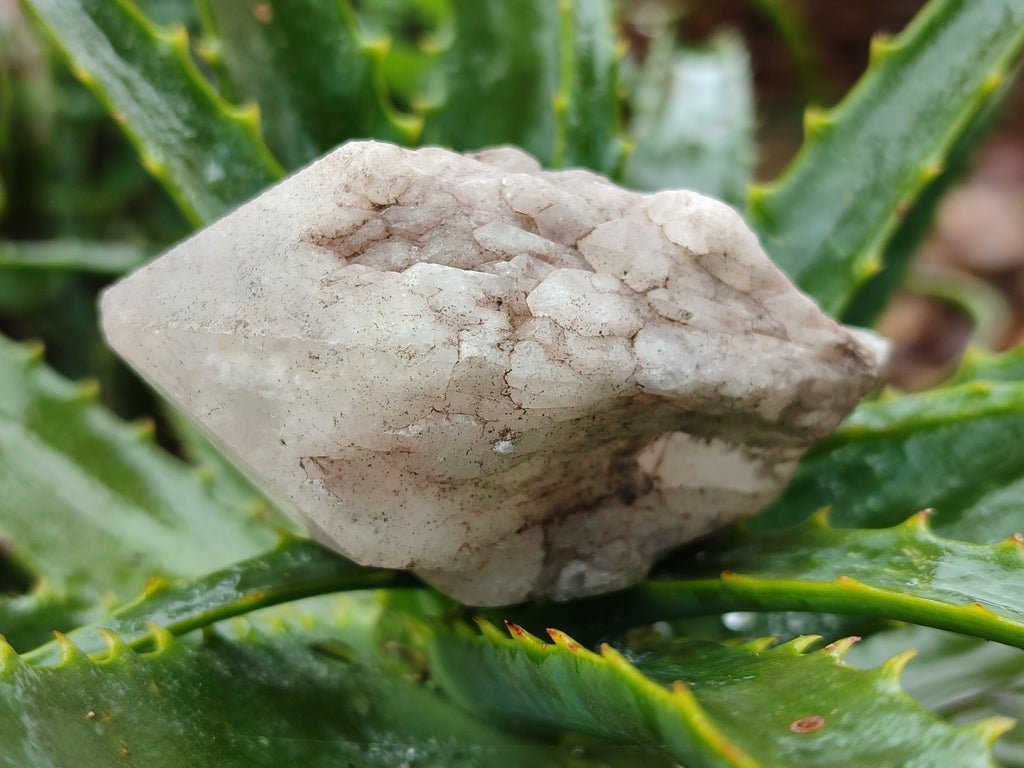 Natural White Pineapple Quartz Crystals x 13 From Madagascar - Toprock Gemstones and Minerals 