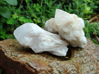 Natural White Pineapple Quartz Crystals x 13 From Madagascar
