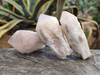Natural White Pineapple Quartz Crystals x 13 From Madagascar