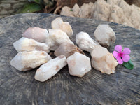 Natural White Pineapple Quartz Crystals x 13 From Madagascar