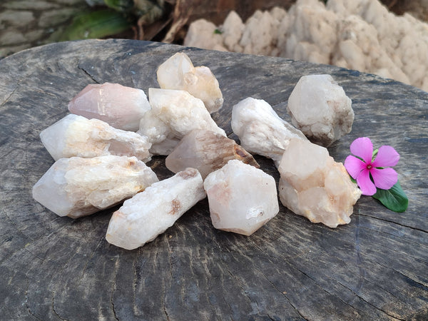 Natural White Pineapple Quartz Crystals x 13 From Madagascar