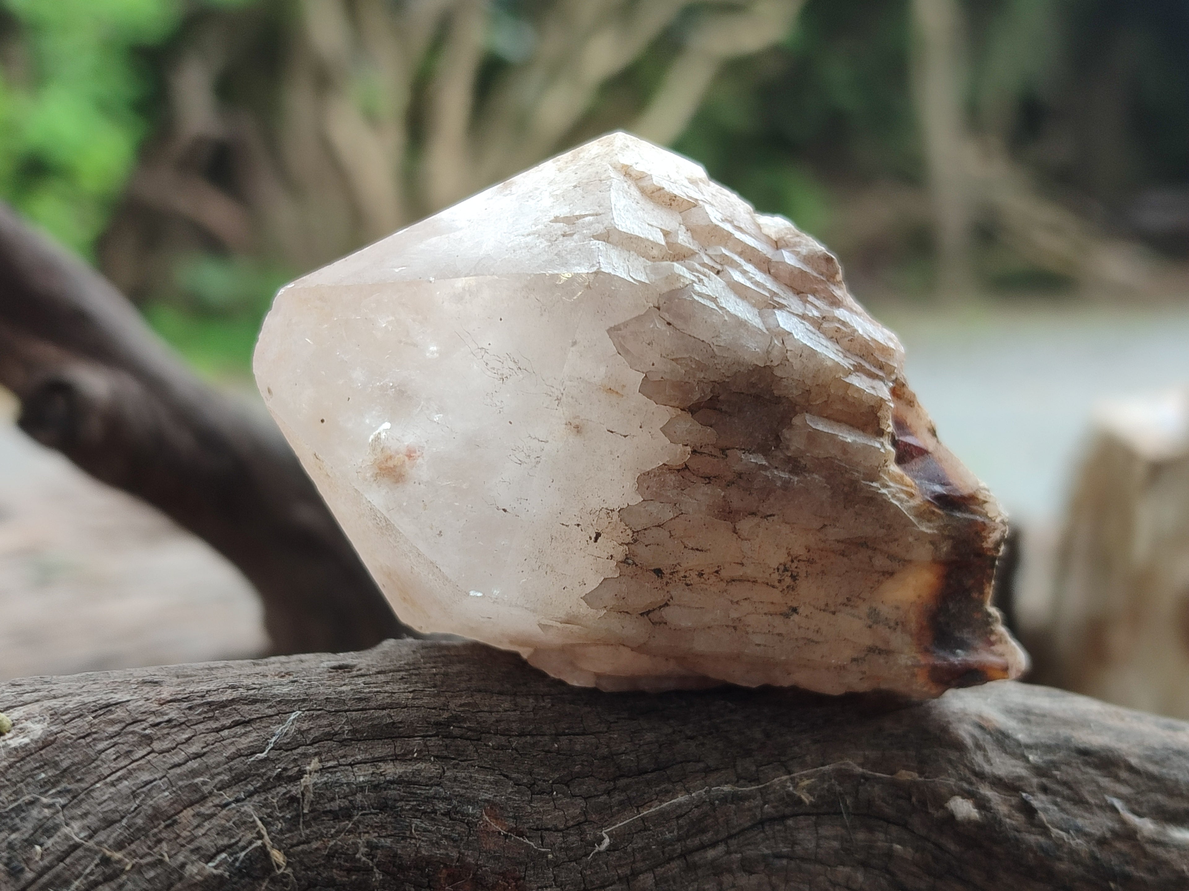 Natural White Pineapple Quartz Crystals x 13 From Madagascar - Toprock Gemstones and Minerals 