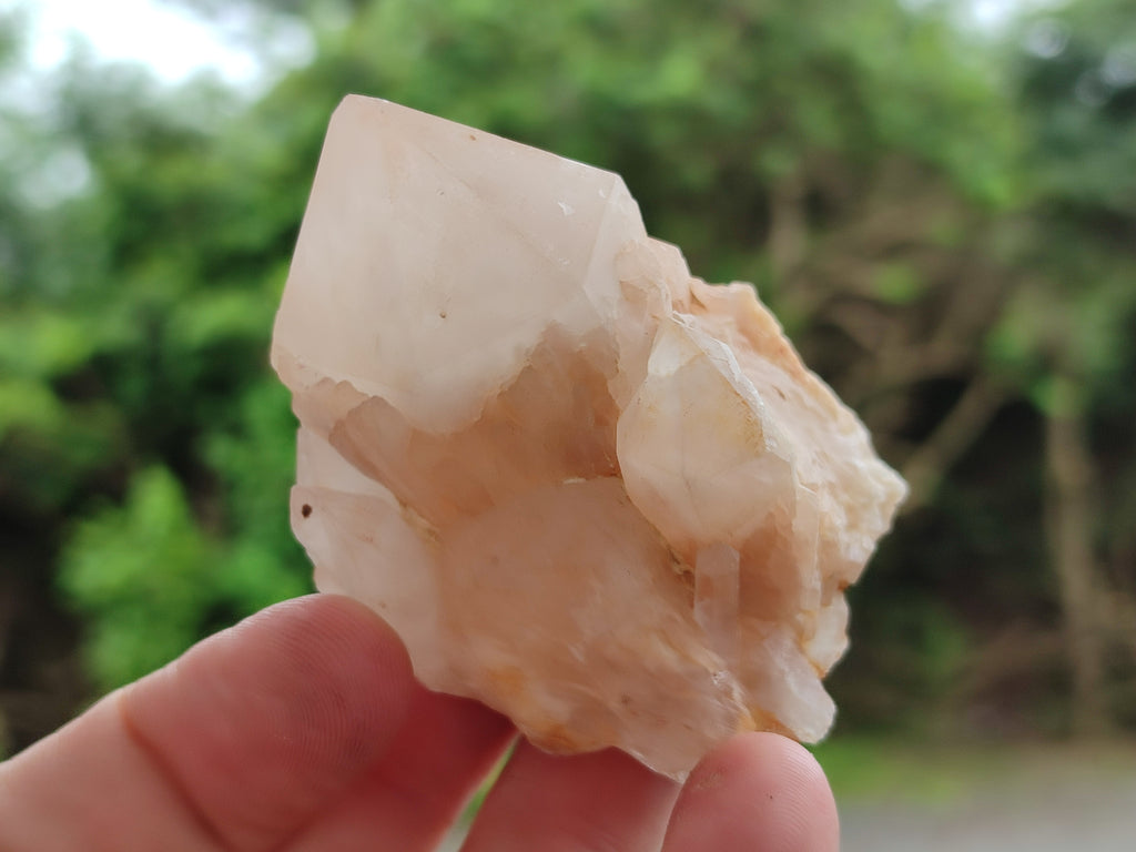 Natural White Pineapple Quartz Crystals x 13 From Madagascar - Toprock Gemstones and Minerals 