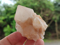 Natural White Pineapple Quartz Crystals x 13 From Madagascar