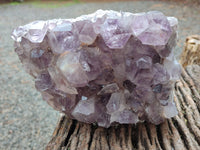 Natural Jacaranda Amethyst Quartz Cluster x 1 From Mumbwa, Zambia