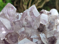 Natural Jacaranda Amethyst Quartz Cluster x 1 From Mumbwa, Zambia