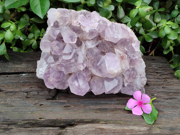 Natural Jacaranda Amethyst Quartz Cluster x 1 From Mumbwa, Zambia