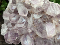 Natural Jacaranda Amethyst Quartz Cluster x 1 From Mumbwa, Zambia