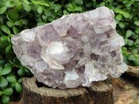 Natural Jacaranda Amethyst Quartz Cluster x 1 From Mumbwa, Zambia