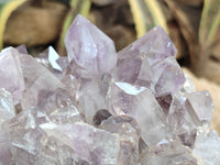 Natural Jacaranda Amethyst Quartz Cluster x 1 From Mumbwa, Zambia
