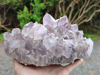 Natural Jacaranda Amethyst Quartz Cluster x 1 From Mumbwa, Zambia