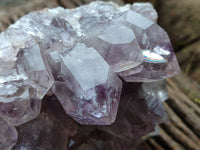 Natural Jacaranda Amethyst Quartz Cluster x 1 From Mumbwa, Zambia