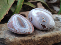 Polished Sashe River Agate Free Forms x 6 From Zimbabwe