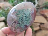 Polished Sashe River Agate Free Forms x 6 From Zimbabwe