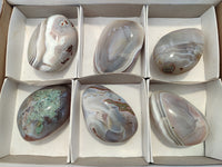Polished Sashe River Agate Free Forms x 6 From Zimbabwe