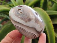 Polished Sashe River Agate Free Forms x 6 From Zimbabwe