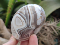 Polished Sashe River Agate Free Forms x 6 From Zimbabwe