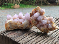 Natural Sunburst Cactus Flower Spirit Amethyst Clusters x 2 From South Africa