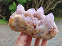 Natural Sunburst Cactus Flower Spirit Amethyst Clusters x 2 From South Africa