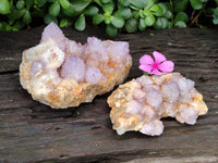 Natural Sunburst Cactus Flower Spirit Amethyst Clusters x 2 From South Africa