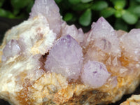 Natural Sunburst Cactus Flower Spirit Amethyst Clusters x 2 From South Africa