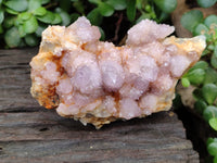 Natural Sunburst Cactus Flower Spirit Amethyst Clusters x 2 From South Africa