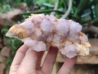 Natural Sunburst Cactus Flower Spirit Amethyst Clusters x 2 From South Africa